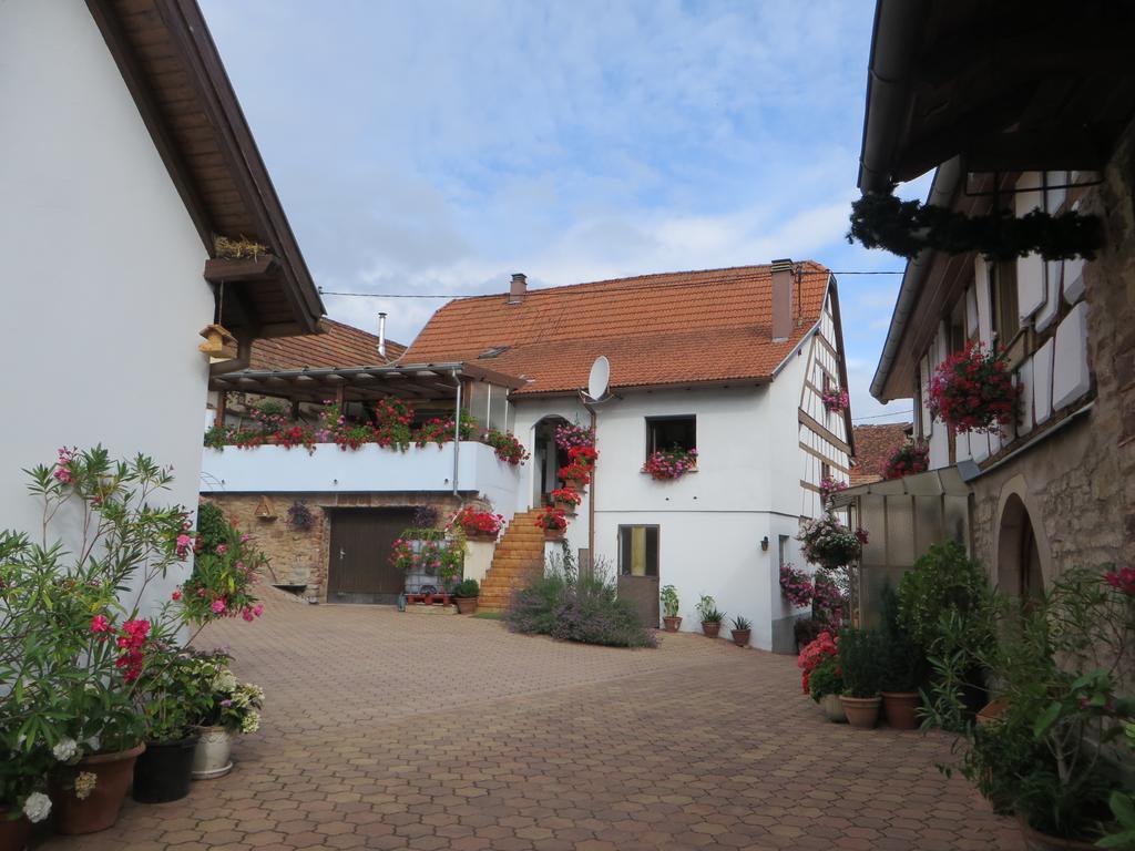 Location Alice Villa Ottrott Kültér fotó