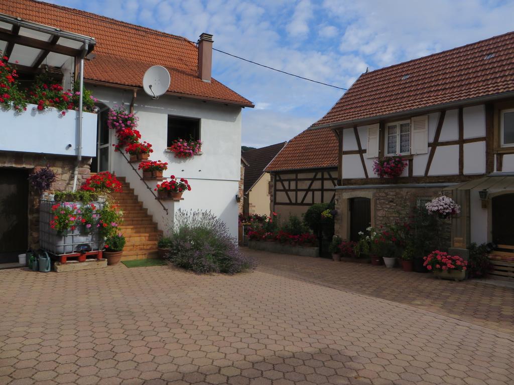 Location Alice Villa Ottrott Kültér fotó