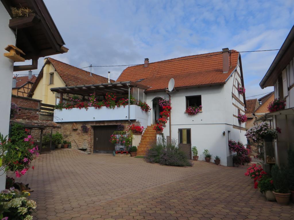 Location Alice Villa Ottrott Kültér fotó