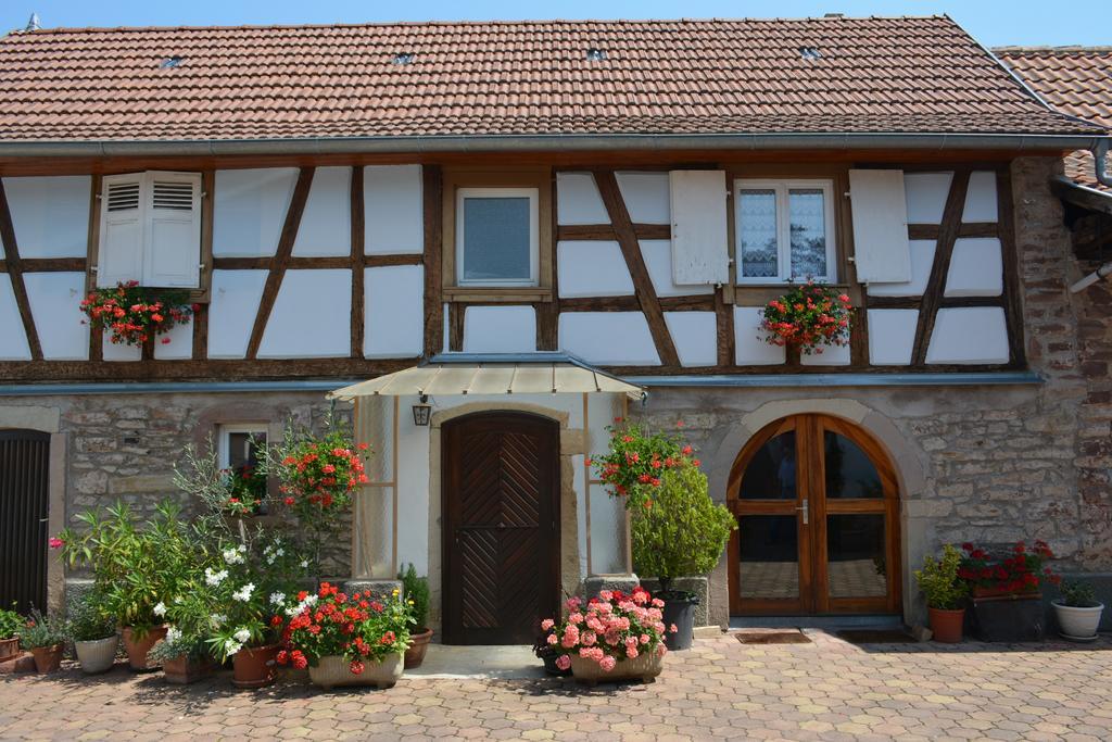 Location Alice Villa Ottrott Kültér fotó